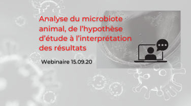 Exploiter l’analyse du microbiote animal  de l’hypothèse d’étude à l’interprétation des résultats