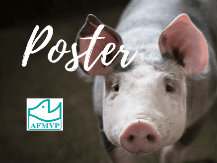 Notre poster exposé à l’Association Française de Médecine Vétérinaire Porcine (AFMVP)