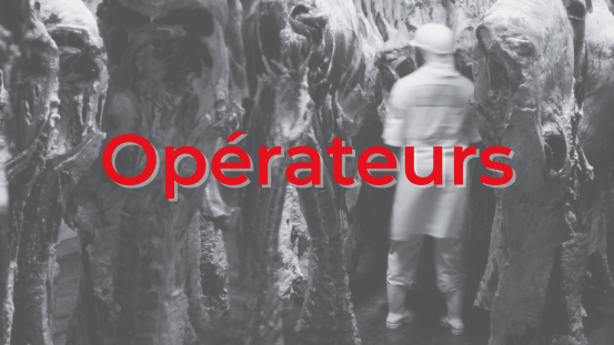 Formation certificat OPA pour la protection des animaux dans le cadre de leur mise à mort