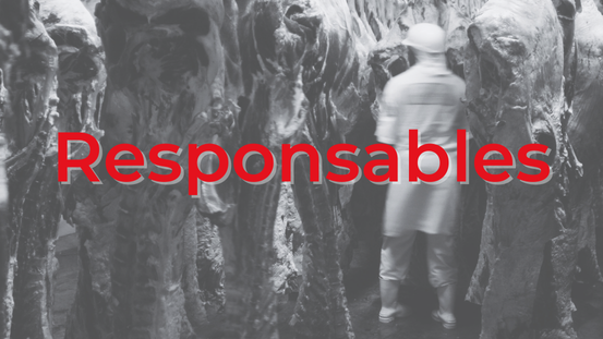 Formation certificat RPA pour la protection des animaux dans le cadre de leur mise à mort