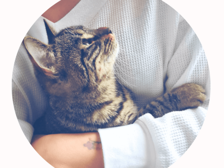 Contribuez au bien-être animal depuis chez vous !