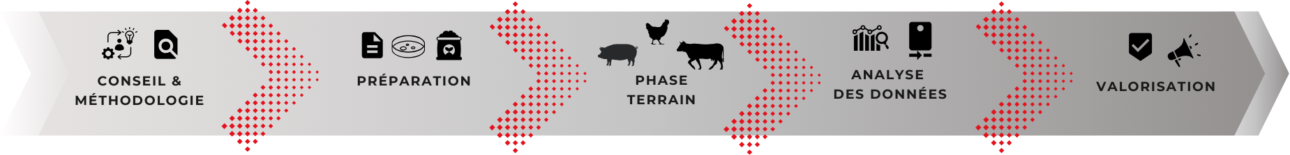 Publication – essai – SPA – infographie_comment nous concevons nos essais