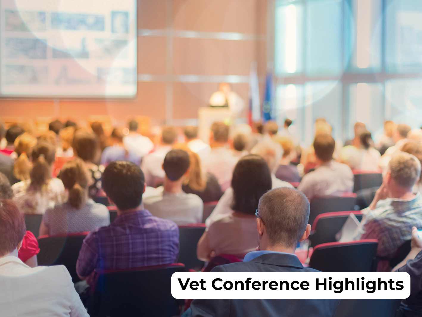 Vet Conference Highlights