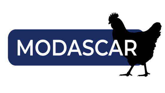 modascar