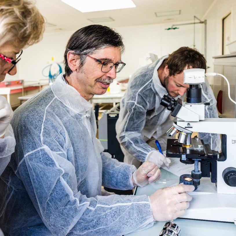 RECHERCHE INNOZH