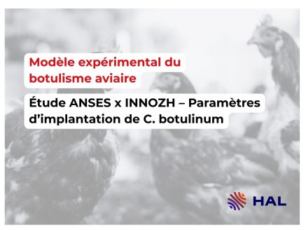 Développement d’un modèle expérimental de botulisme aviaire : Optimisation des paramètres pour favoriser la colonisation caecale par Clostridium botulinum