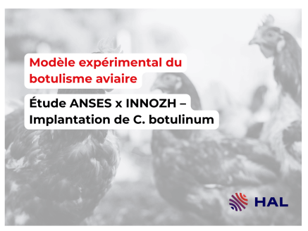 Modèle expérimental de botulisme aviaire : identification des paramètres favorisant la colonisation caecale par Clostridium botulinum