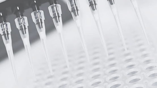 Formation les bases de la biologie moléculaire pour la pratique de la PCR