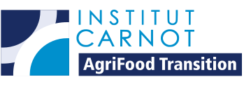 logo-INSTITUT-e1581343427755