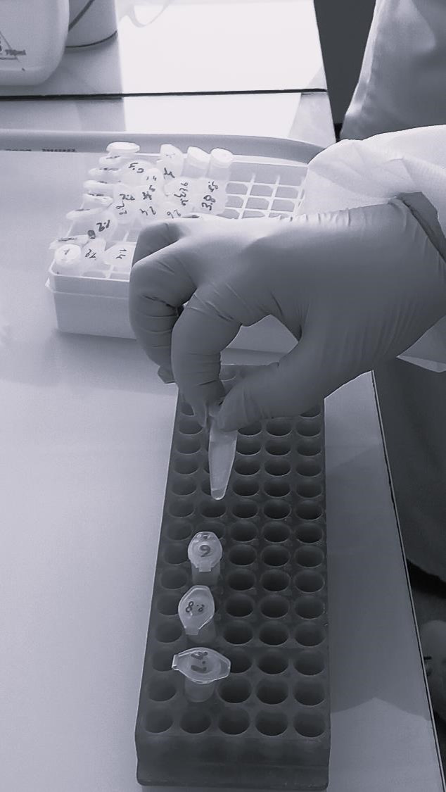 Formation gestion des risques biologiques en laboratoire de santé animale