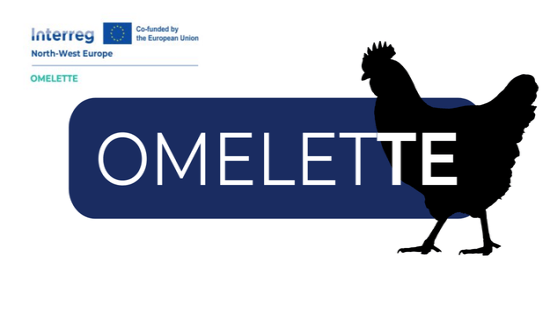 vignette omelette