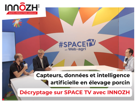 Capteurs, données et intelligence artificielle en élevage porcin : décryptage avec INNOZH