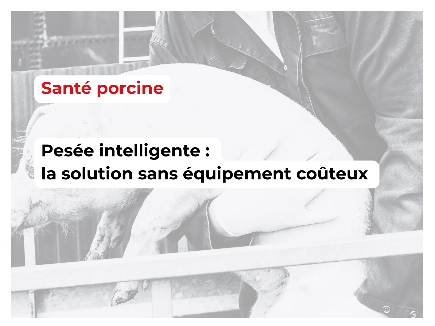 06_pesee intelligente