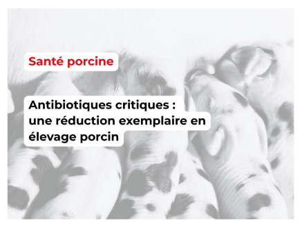 Réduction volontaire de l’usage des céphalosporines de 3ᵉ et 4ᵉ génération en médecine porcine française (2009-2012) : une démarche proactive et efficace