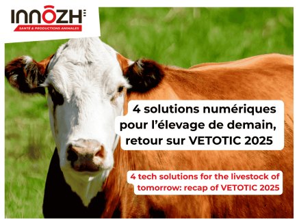 4 innovations numériques pour la santé animale et l’élevage