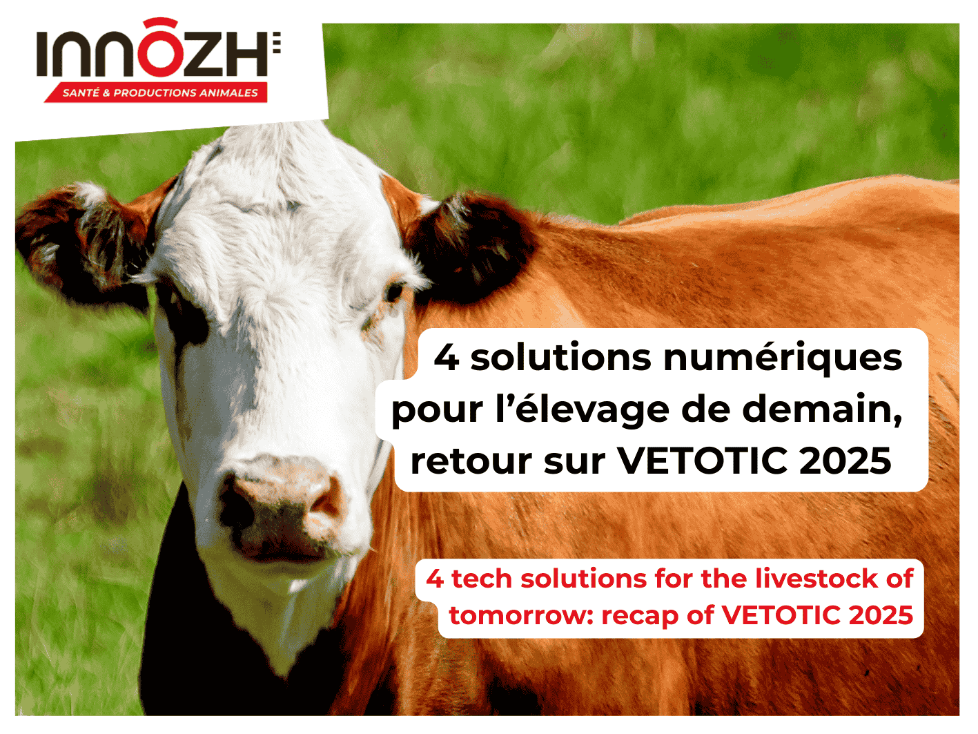 4 solutions numériques pour l’élevage de demain, retour sur VETOTIC 2025