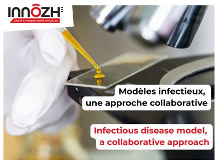 Modèles infectieux en santé animale