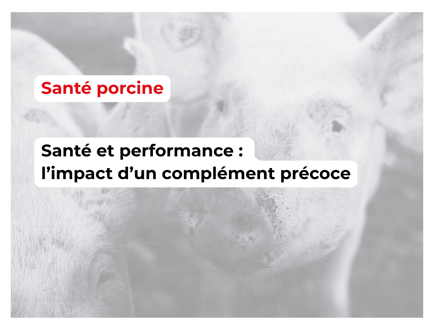 sante et performance
