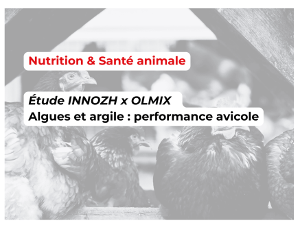 Optimisation de la nutrition avicole