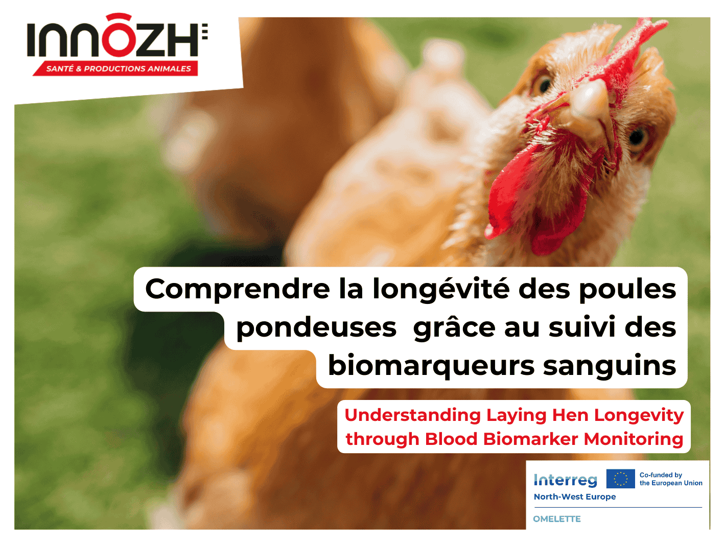 vignette OMELETTE – biomarqueurs sanguins