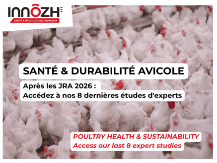 Après les JRA 2026 : Prolongez la réflexion avec nos dernières études en santé et productions animales