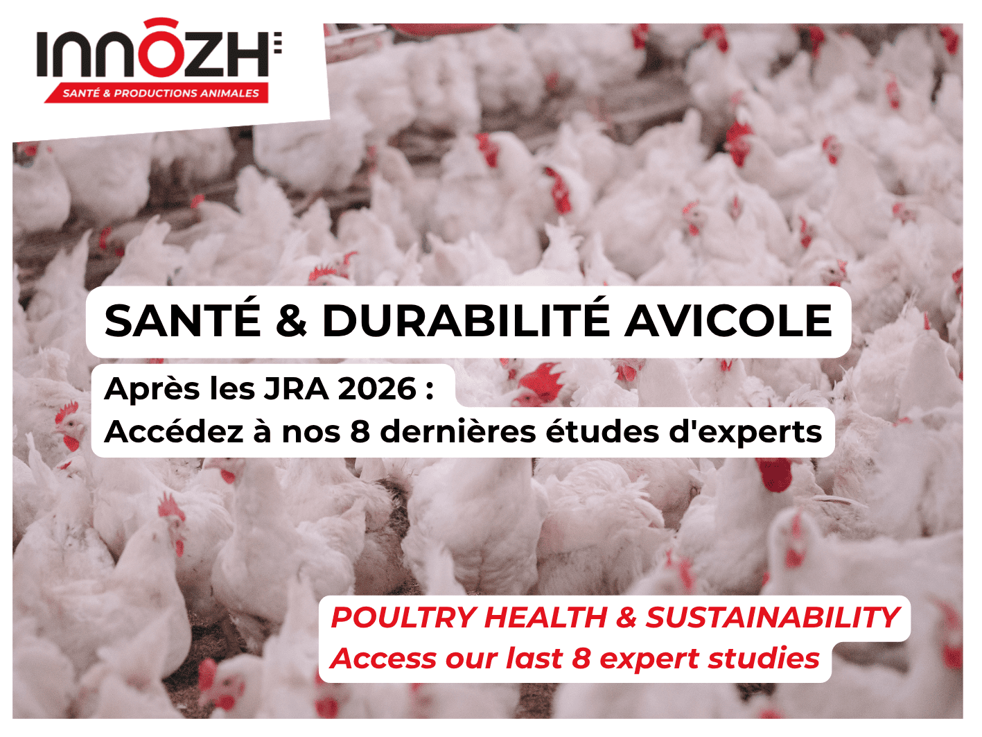 Après les JRA 2026 Prolongez la réflexion avec nos dernières études en santé et productions animales