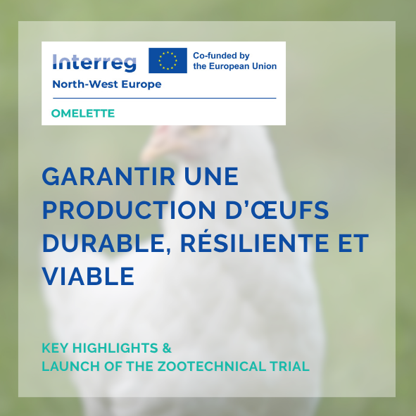 httpswww.innozh.frsante-productions-animalesapres-les-jra-2026-prolongez-la-reflexion-avec-nos-dernieres-etudes-en-sante-et-productions-animales