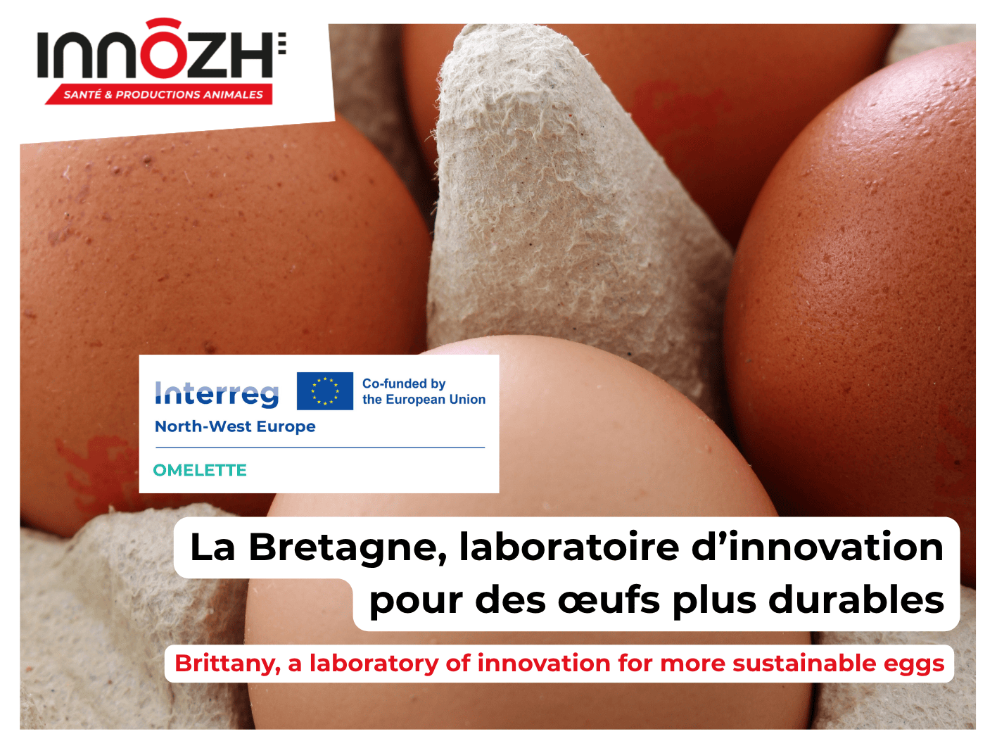 omelette-bretagne-innovation-ponte-durable
