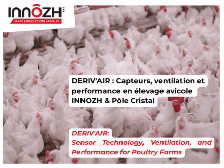 DERIV&rsquo;AIR : modéliser les dérives de capteurs pour mieux piloter la ventilation en élevage avicole