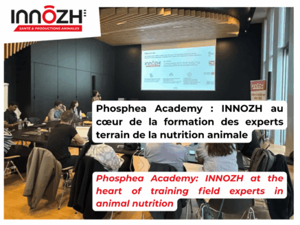 INNOZH à la Phosphea Academy : notre expertise présentée aux techniciens d&rsquo;un acteur international de la nutrition animale