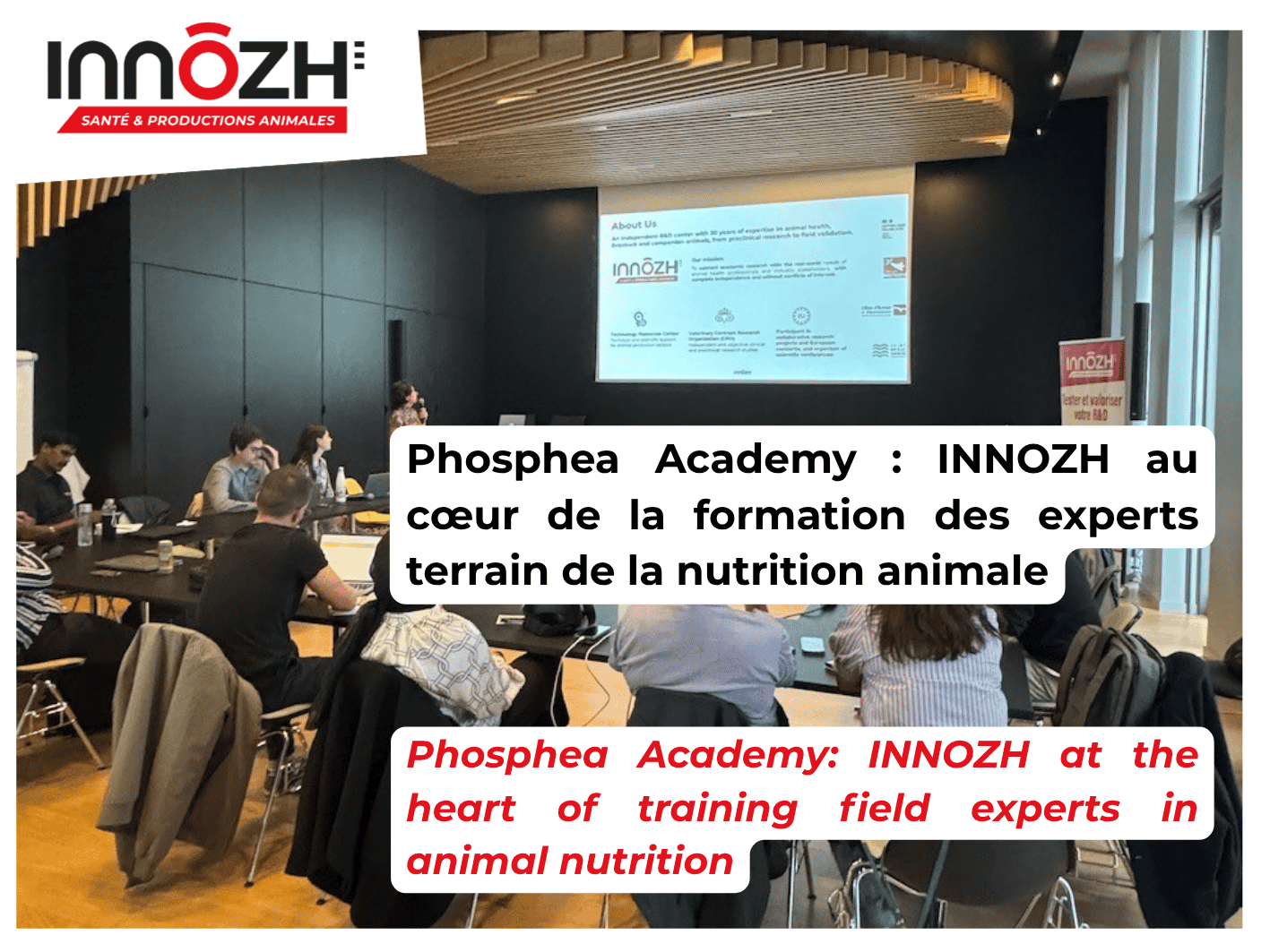 phosphea academy