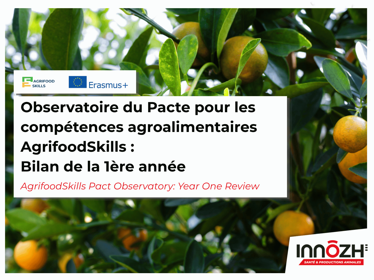 AgrifoodSkills Pact Observatory Year One Review