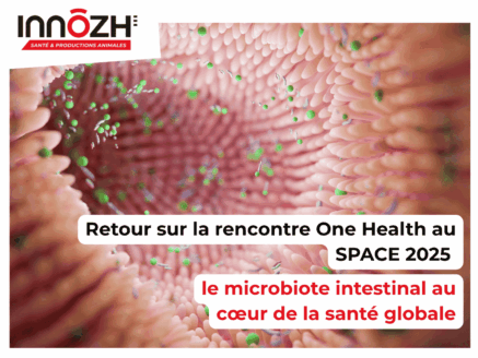Retour sur la rencontre One Health au SPACE 2025 : le microbiote intestinal au cœur de la santé globale