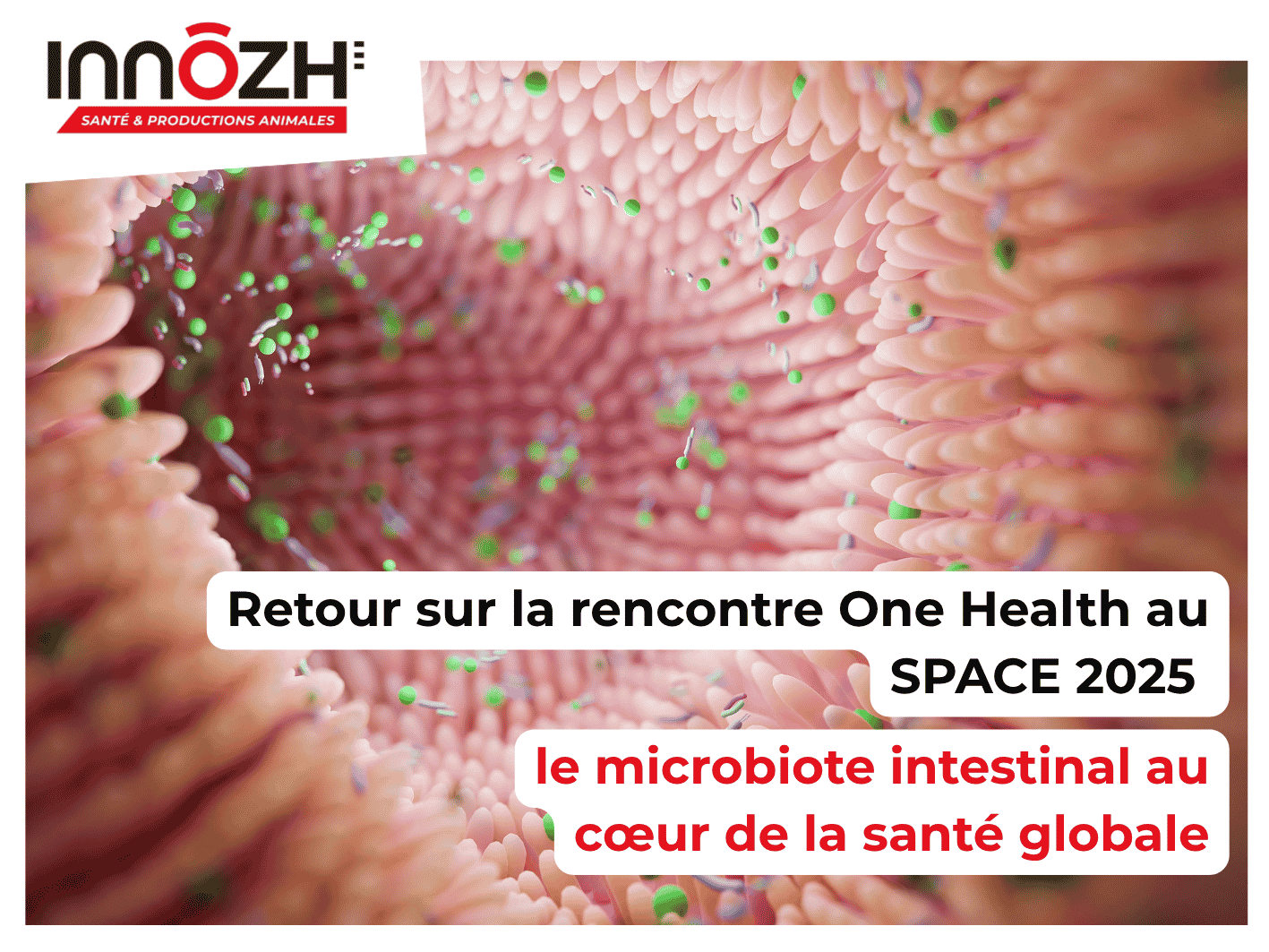 retour one health 2025