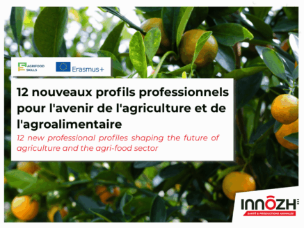 AgrifoodSkills valide 12 nouveaux profils professionnels pour l&rsquo;avenir de l&rsquo;agriculture et de l&rsquo;agroalimentaire