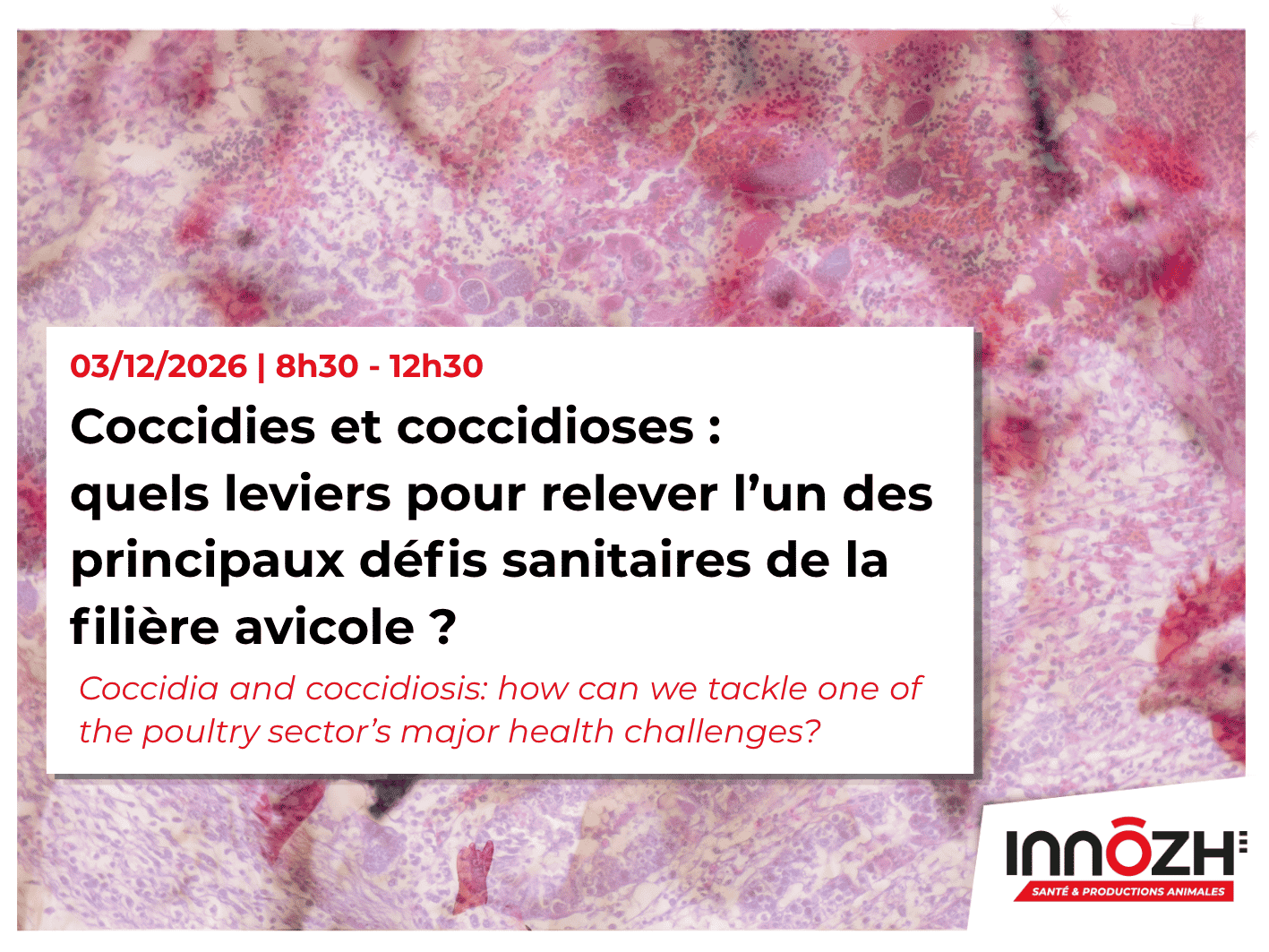 coccidies et coccidioses