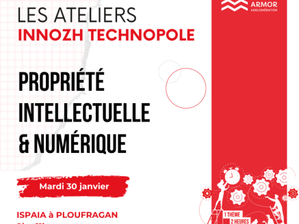 Propriété intellectuelle & Numerique