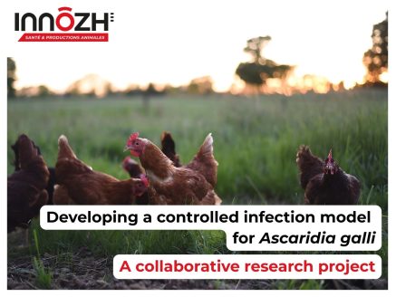 Projet MODASCAR : Mieux comprendre et contrôler les helminthes digestifs en aviculture plein-air