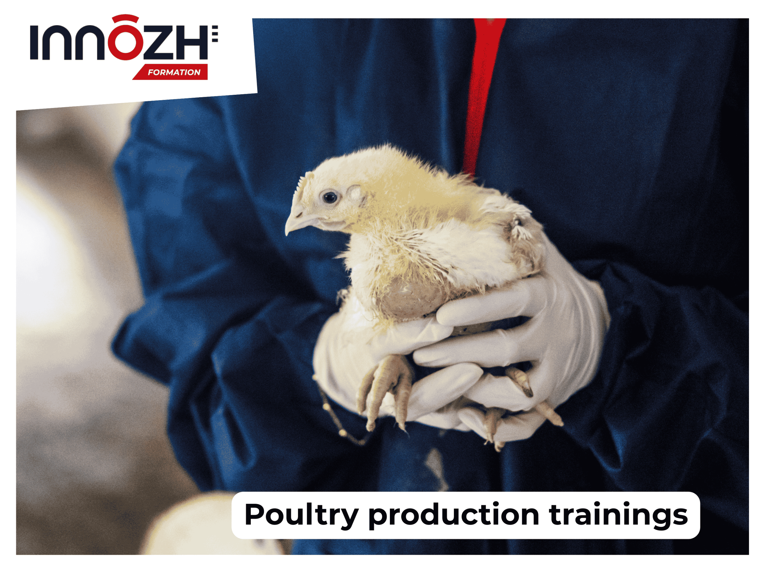 Poultry production training