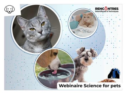 Webinaire : la science au service du bien-être des animaux de compagnie