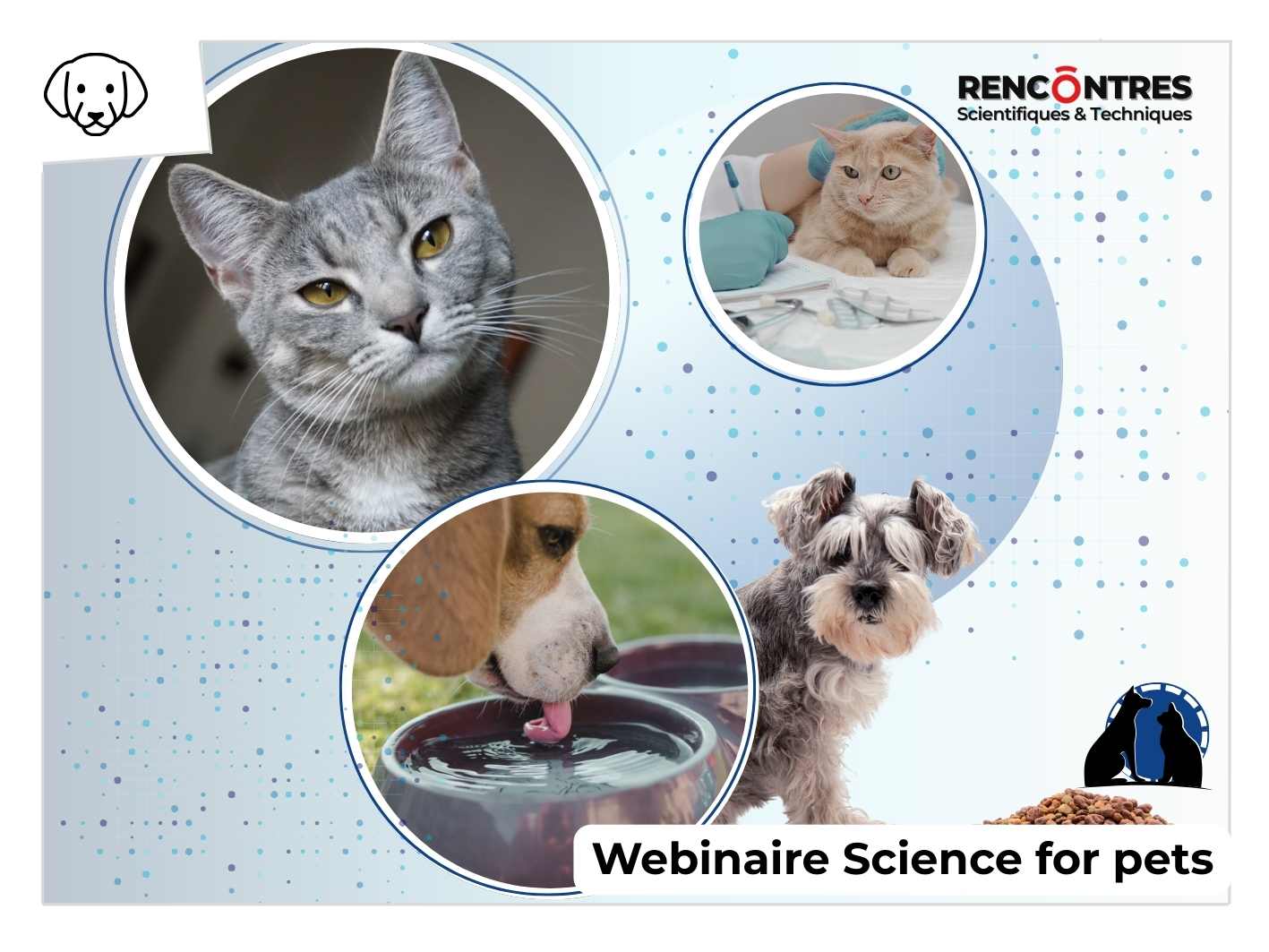 fenetre actu pet webinaire