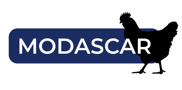 modascar