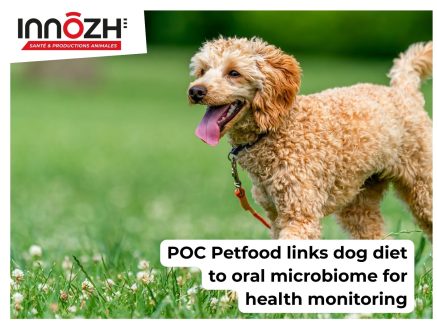 POC Petfood – Étude du lien entre alimentation et microbiote buccal chez le chien