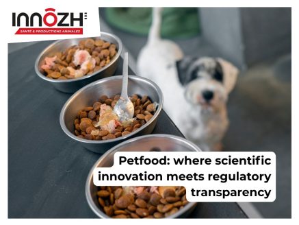 L’Évolution du secteur Petfood : entre transparence règlementaire et innovations portées par la recherche