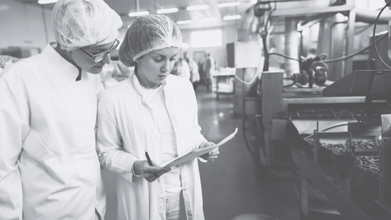 feed and food_Audit interne