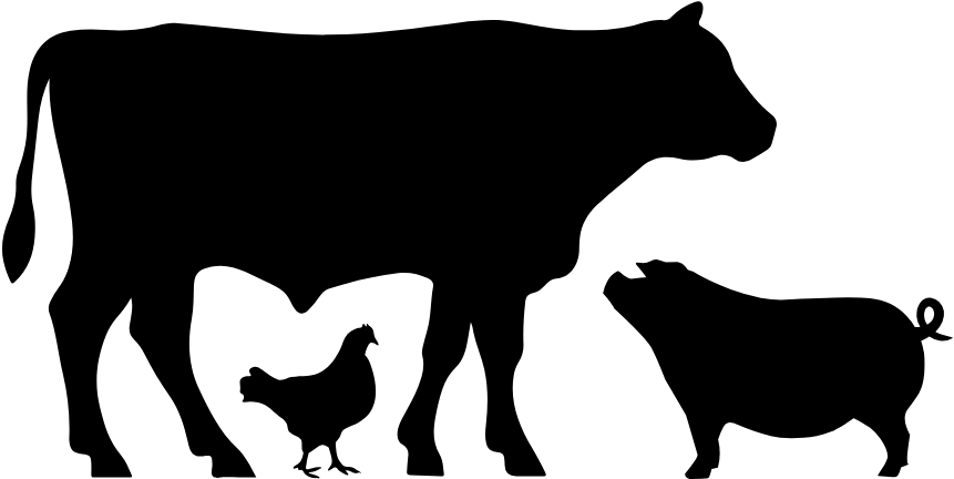 livestock