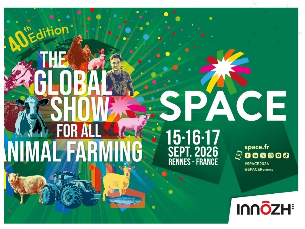 space_innozh_corporate